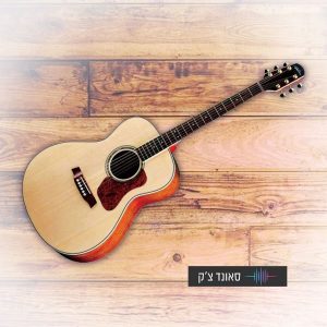 גיטרה אקוסטית – תצוגה WLADEN -33%