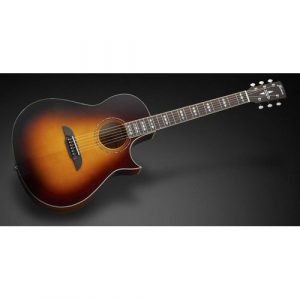 גיטרה אקוסטית מוגברת FRAMUS FC44 Concert Grand חיתוך