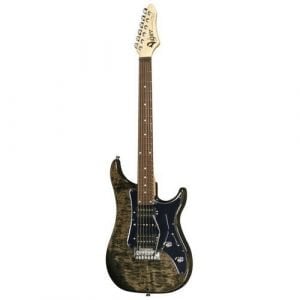 Vigier Excalibur Custom HHS Floyd Rose Tremolo Black Diamond Rosewood