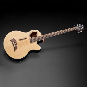 גיטרה בס אקוסטית 5 מיתרים פרטלס WARWICK ALIEN STANDARD