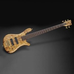 WARWICK WGPS Streamer LX 5 Ltd 2018