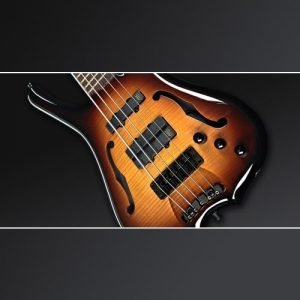 גיטרה בס WARWICK INFINITY honey sunburst 4