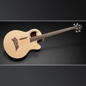 גיטרה בס אקוסטית 4 פרטלס עם סימונים + נרתיק WARWICK ALIEN STANDARD