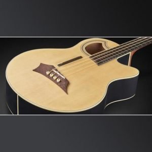 גיטרה בס אקוסטית 4 פרטלס עם סימונים + נרתיק WARWICK ALIEN STANDARD