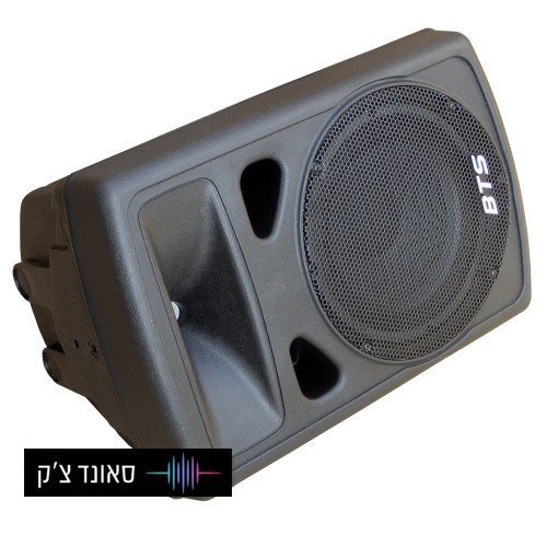 רמקול מוגבר 10″ / 250W