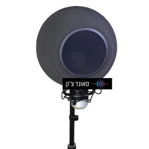 כדור אקוסטי למיקרופון הקלטה
