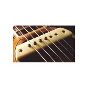 פיק אפ לתיבת תהודה L.R.BAGGS M1 L.R BAGGS