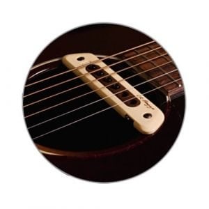 פיק אפ אקטיבי / פאסיבי L.R.BAGGS M80 L.R BAGGS
