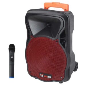 בידורית 10″ / 300W
