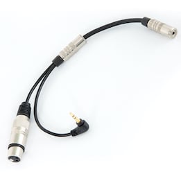 Acus ONE FORSTREET 5 WOOD 40W: מגבר אקוסטי נייד מוביל להופעות חיות באיכות גבוהה