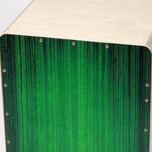 נרתיק לכחון: SELA Varios Bundle Green SE131EN – כחון, פד וספר לימוד, הכל באותו המקום למוזיקאים מתחילים ומקצוענים