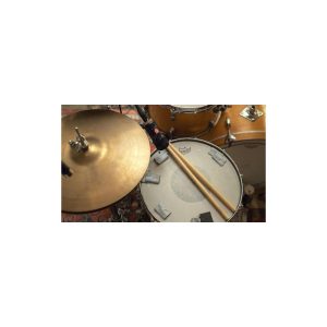 **מיקרופון קונדנסר מקצועי LAUTEN AUDIO LA-320 – איכות צליל ברמה הגבוהה ביותר, עם מאפייני וינטג’ ומסננים מותאמים להקלטות מושלמות**