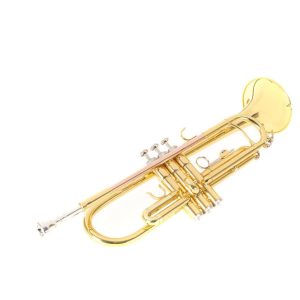 חצוצרה רוי בנסון Roy Benson TR-101 – חצוצרה מקצועית עם תיק נשיאה מבית GEWA גרמניה | צליל חם, שסתומים מהירים, אחיזה נוחה