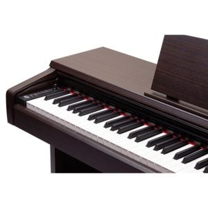 פסנתר חשמלי רוזווד Pearl River V-03 – חוויית נגינה קלאסית עם מקלדת שקולה ופונקציות מתקדמות