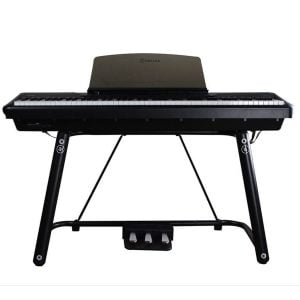 פסנתר חשמלי P200 שחור מבית Pearl River – כולל סטנד U ושלישיית פדלים | סאונד מקצועי ומגע קלידים אמיתי