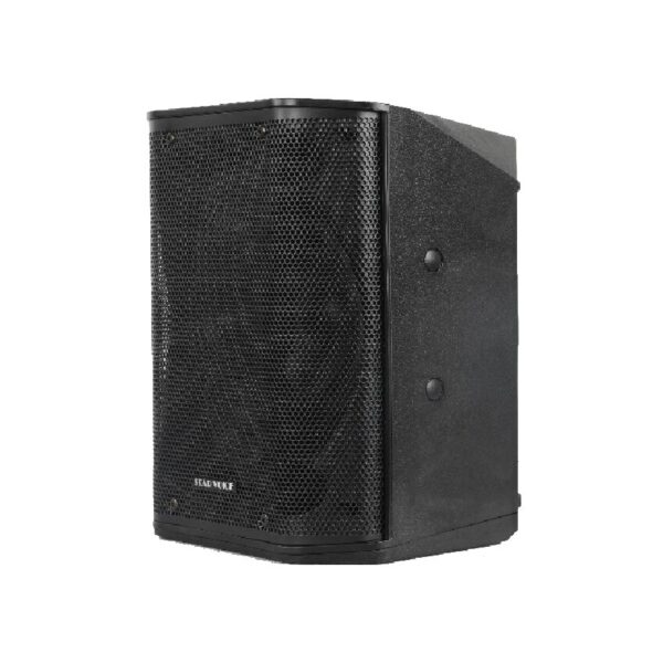מערכת קומפקטית 6.5 אינץ 240W עם מיקסר 3 כניסות, Bluetooth, אפקטים ותמיכה ב-TWS – רמקול PA נייד לאירועים והרצאות