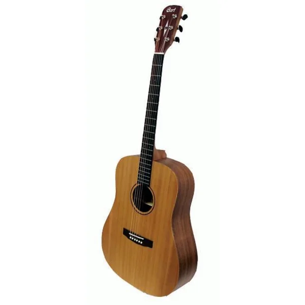 cort cedar grand bw master 1600