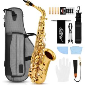 ערכת סקסופון אלט EAX-21 מבית EASTAR – כולל תיק נשיאה, פיה, רצועת צוואר, עלים וסטנד לנגינה מקצועית