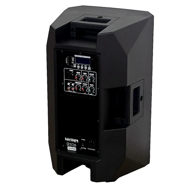 haymer pa 10 150w back 1000