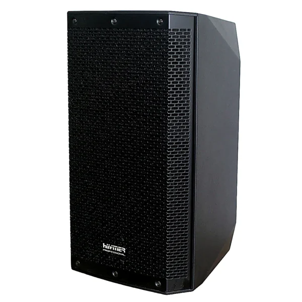 רמקול מוגבר Haymer 10″ 150W