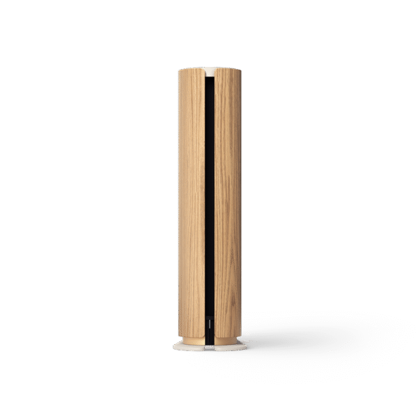 Beosound Emerge Gold Oak 10