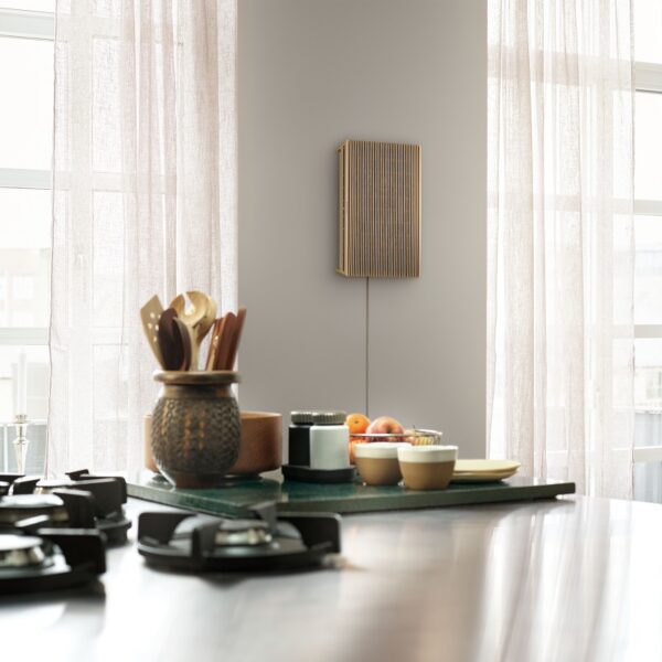 Beosound Level GoldLight Oak Wood 8
