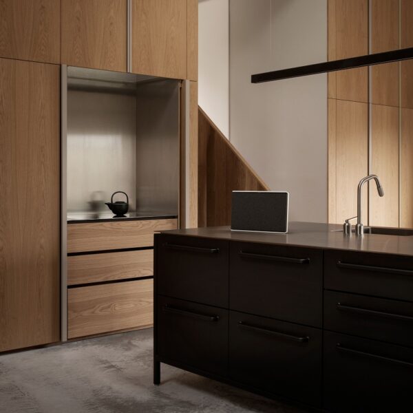 Beosound Level Natural Dark Grey 10