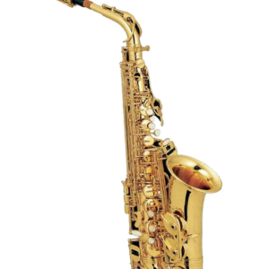 סקסופון טנור למתחילים עם קייס קשיח – Jinbao TS-100