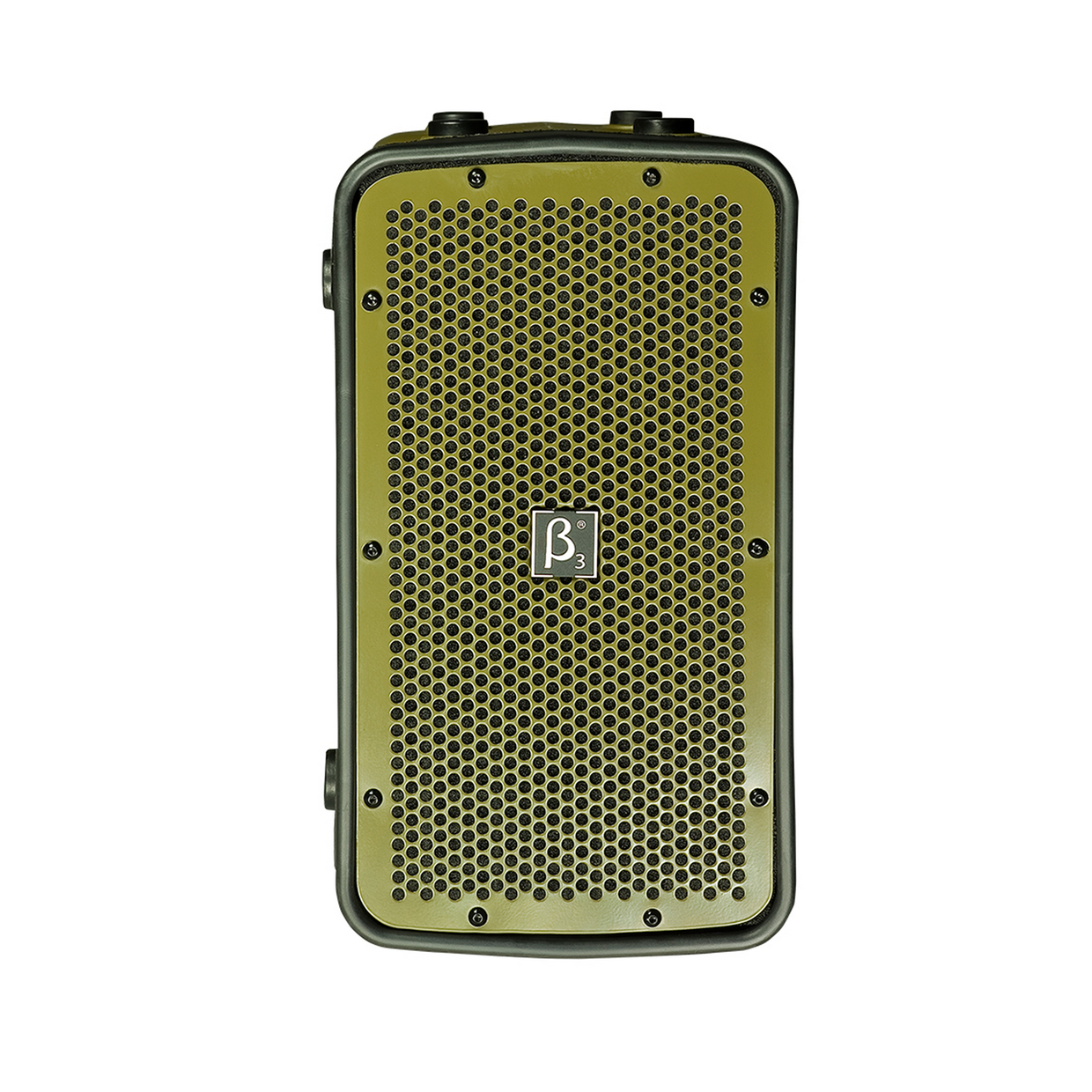 מערכת PA ניידת DB Technologies db1100-MP3II 1 0713 db1100 mp3ii