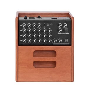 מגבר קומבו אקוסטי Acus One ForStrings 5 Ferdi Wood 70W