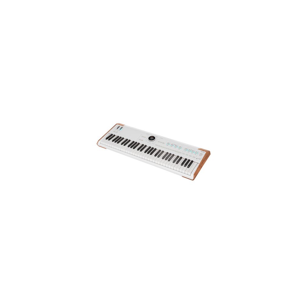 Arturia AstroLab 61 – מקלדת במה 61 קלידים עם מנוע Analog Lab Pro 1 588618.jpg