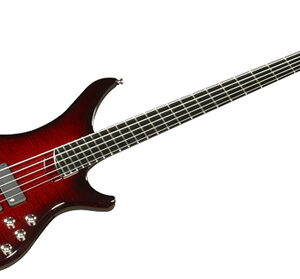 גיטרת בס Vigier Passion III 5 מיתרים AM