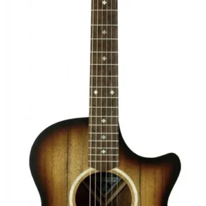 גיטרה אקוסטית AN2EC Blackwood Sunburst