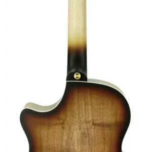 גיטרה אקוסטית AN2EC Blackwood Sunburst
