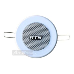 רמקול פסיבי BTS – רמקול שקוע 3 שנאי קו