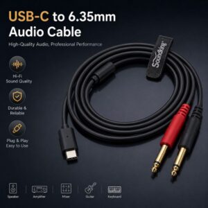 כבל SoundKing – Type C to 6.35, 2m Cable