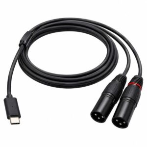 כבל SoundKing BUX-1 – Type C to 2*XLR, 2m Cable
