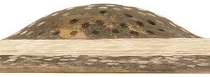 מצילת רייד Meinl Byzance Jazz Symmetry Ride 22׳