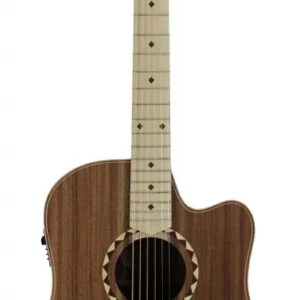 גיטרה אקוסטית FL2EC Blackwood Sunburst