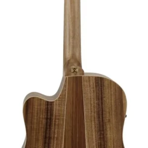 גיטרה אקוסטית FL2EC Blackwood Sunburst
