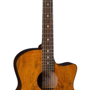 גיטרה אקוסטית מדגם Gypsy Exotic בגימור Spalt Maple Graphic