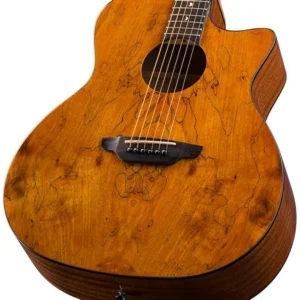 גיטרה אקוסטית מדגם Gypsy Exotic בגימור Spalt Maple Graphic