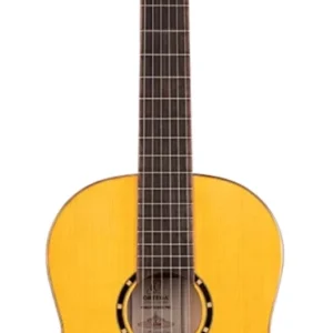 גיטרה קלאסית פלמנקו מדגם R170F