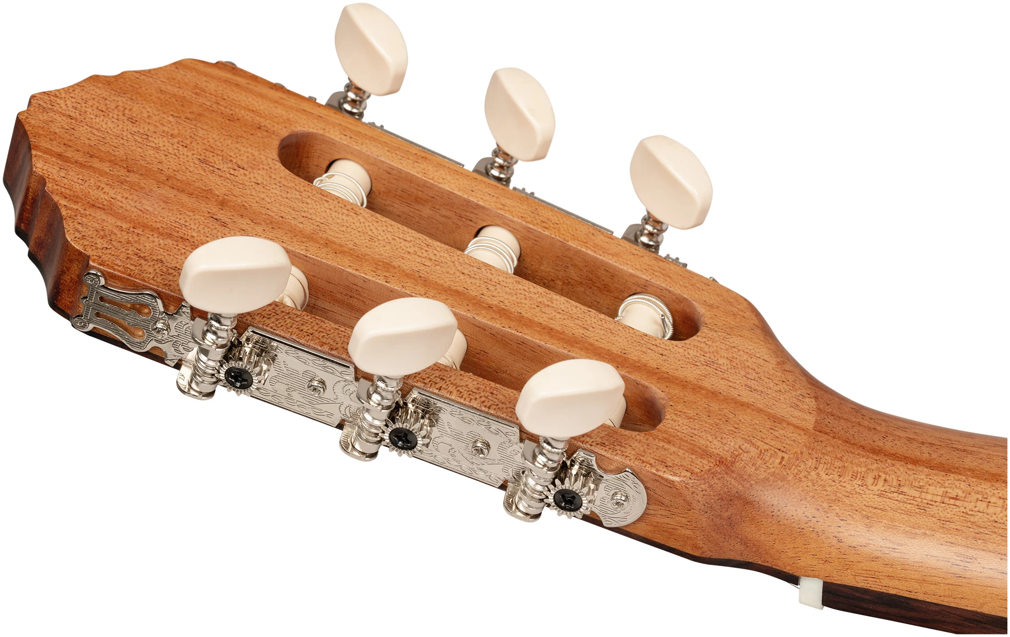 גיטרה קלאסית Ortega R18S Traditional טופ ארז מלא גב Bubinga 7 גיטרה קלאסית Ortega R18S Traditional טופ ארז מלא גב Bubinga - תמונה 7