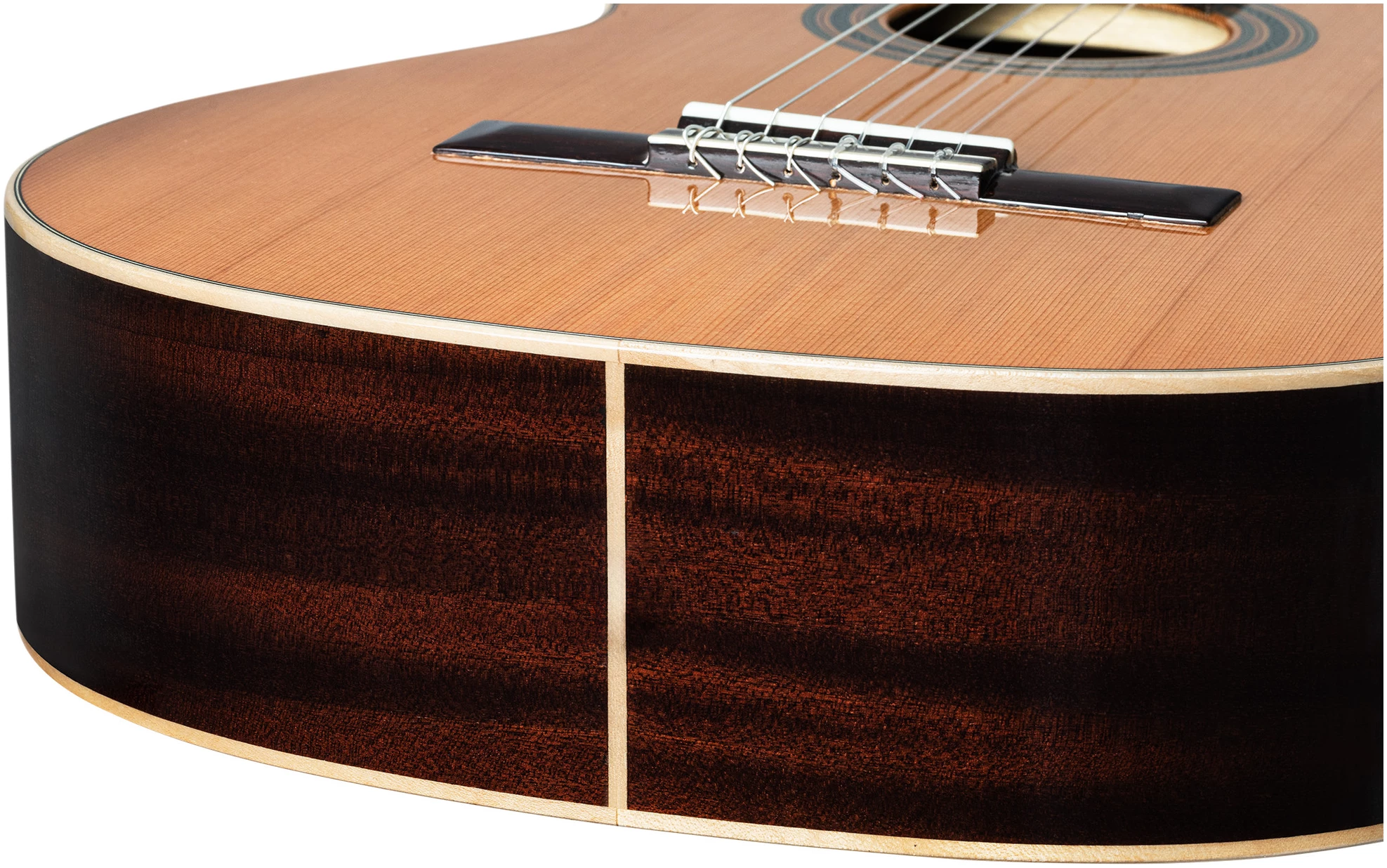 גיטרה קלאסית Ortega R19G Traditional טופ ארז מלא 6 גיטרה קלאסית Ortega R19G Traditional טופ ארז מלא - תמונה 6