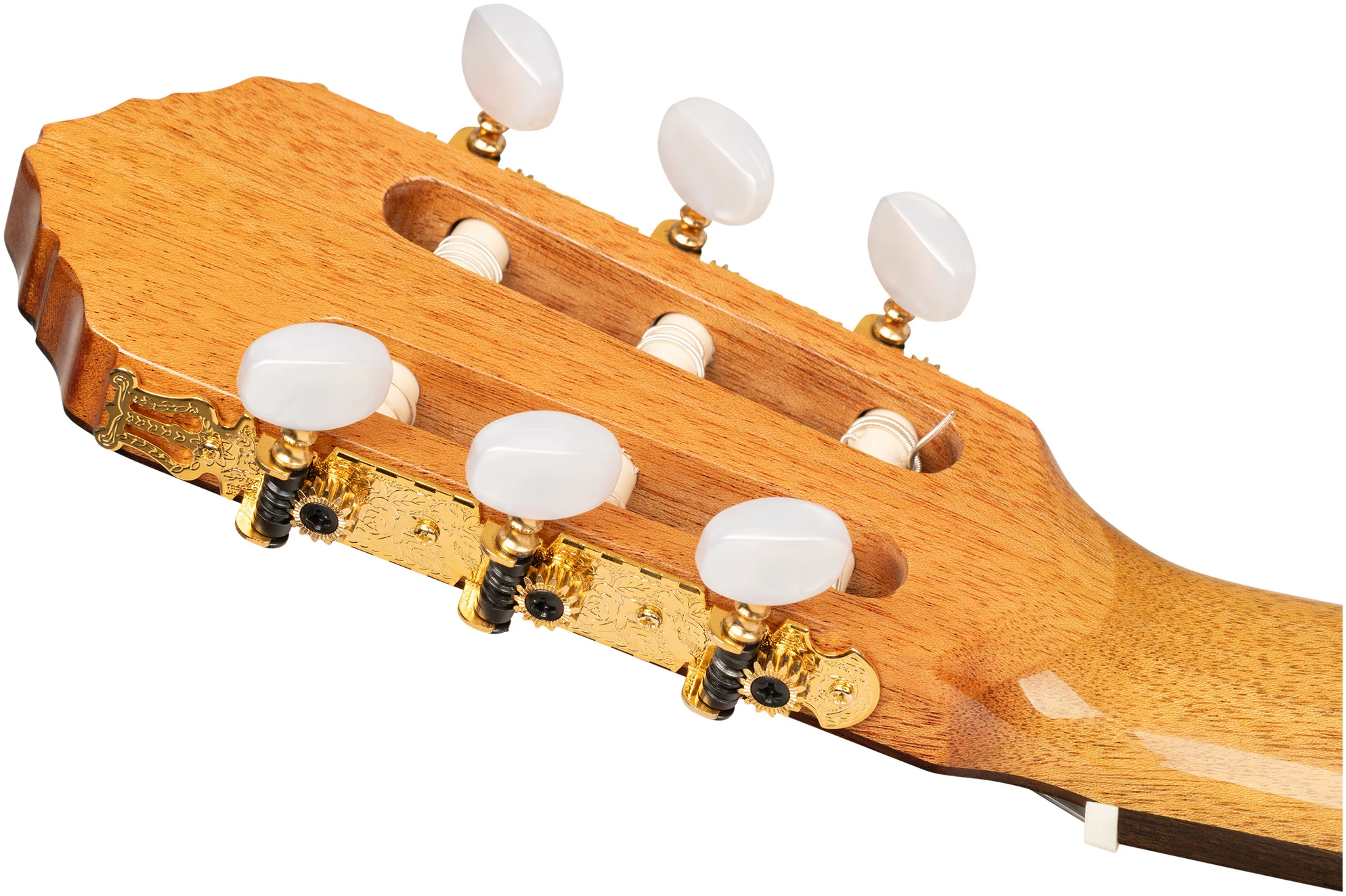 גיטרה קלאסית Ortega R20GRG Traditional עץ ארז מלא 6 גיטרה קלאסית Ortega R20GRG Traditional עץ ארז מלא - תמונה 6