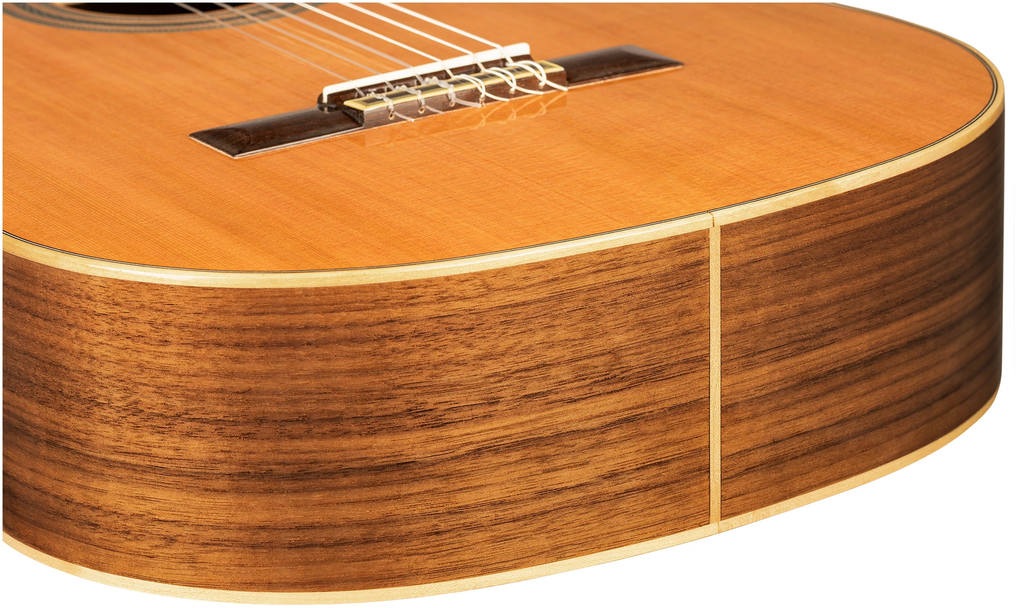 גיטרה קלאסית שמאלית Ortega R20GWN-L Traditional עץ ארז מלא 4 גיטרה קלאסית שמאלית Ortega R20GWN-L Traditional עץ ארז מלא - תמונה 4