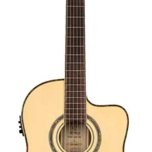 גיטרה קלאסית מוגברת מסדרת Family Pro מדגם 145