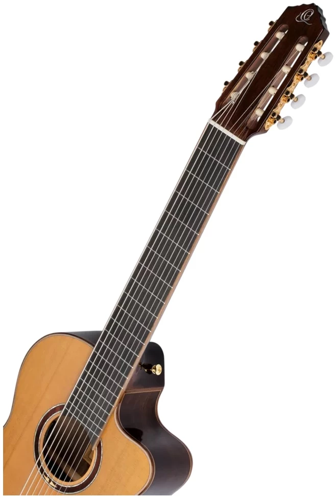 גיטרה קלאסית 8 מיתרים מסדרת Performer 5 גיטרה קלאסית 8 מיתרים מסדרת Performer - תמונה 5