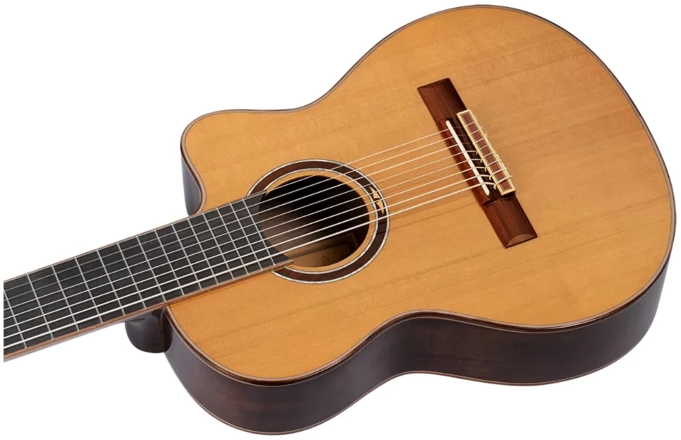 גיטרה קלאסית 8 מיתרים מסדרת Performer 4 גיטרה קלאסית 8 מיתרים מסדרת Performer - תמונה 4